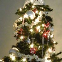 Nancy Prater Photo 12