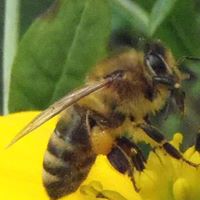 Timothy Mast Photo 16