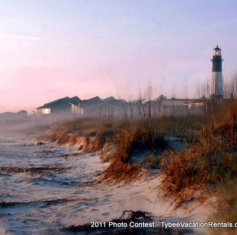 Cheryl Anderson Photo 4