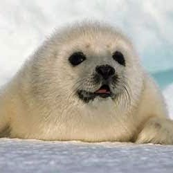 Charlie Fleming Photo 36 Charlie Fleming Photo 36