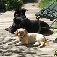 Laura Slattery Photo 12