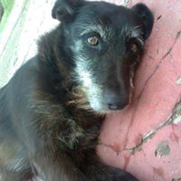 Ariana Ledesma Photo 8