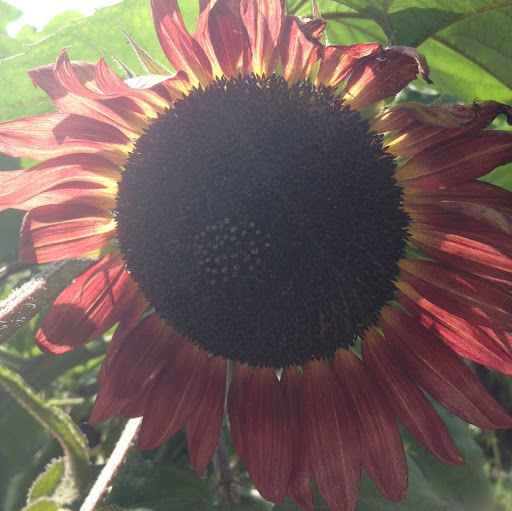 Paula Bradley Photo 42