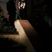David John Photo 10