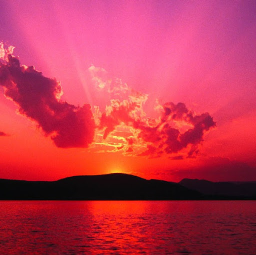 Joseph Beck Photo 24