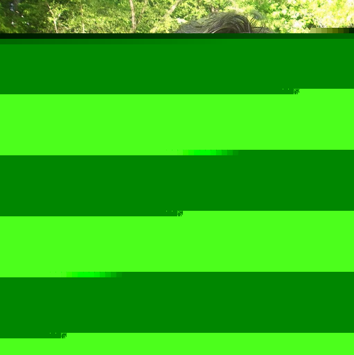 Susan Strickland Photo 18