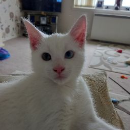 Janis Robertson Photo 13