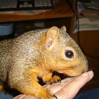 Carol Rinker Photo 3