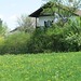 Christa Meadows Photo 10