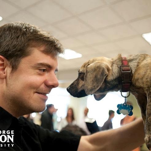 Mark Weiss Photo 16 Mark Weiss Photo 16