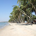 Lam Phan Photo 16