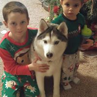 Steve Schuler Photo 14