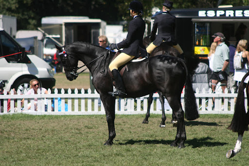 Sandra Pilcher Photo 4