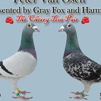 Chad Compton Photo 17