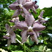 John Fuchs Photo 31