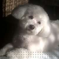 William Dillard Photo 44