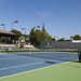 Tracy Austin Photo 27