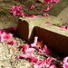 Azalea Stone Photo 8