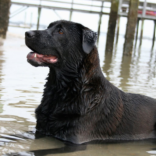 Kevin Mclaughlin Photo 52 Kevin Mclaughlin Photo 52