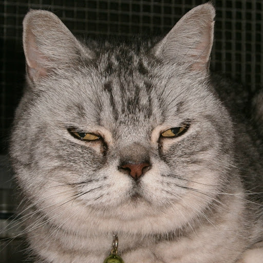 Richard Jameson Photo 23