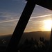 Peter Hutt Photo 7