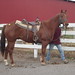 Chas Buck Photo 4