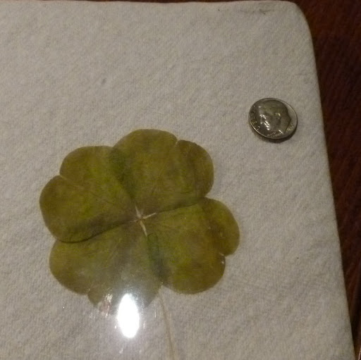 Jeff Chow Photo 47 Jeff Chow Photo 47