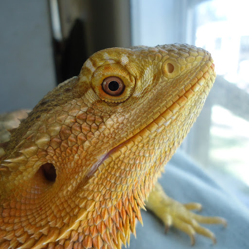 Lori Gutierrez Photo 21