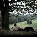 Tom Nims Photo 21