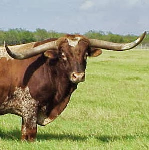 Johnny Nichols Photo 20