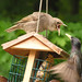 Michael Woodruff Photo 38