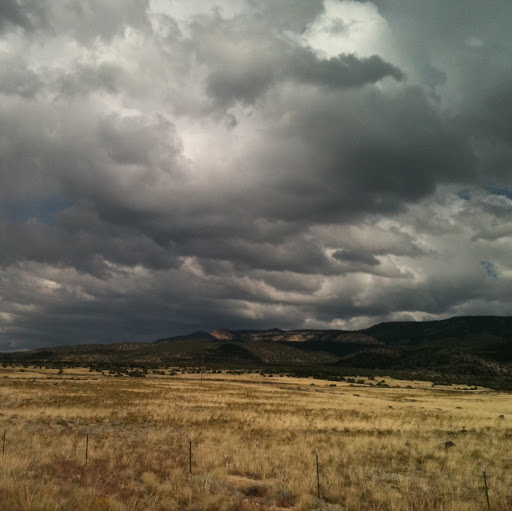 Carol Newman Photo 15