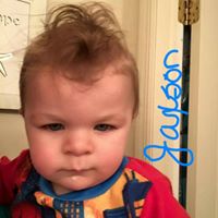 Alice Clements Photo 28 Alice Clements Photo 28