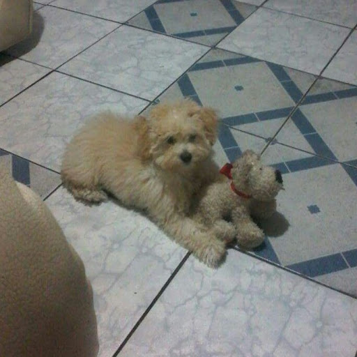 Michelle Salinas Photo 16