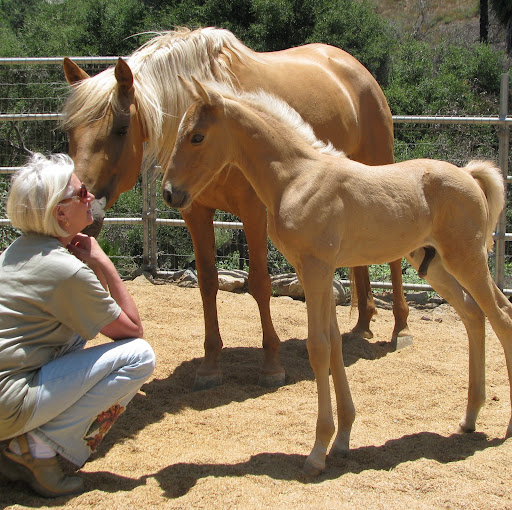 Julia Erickson Photo 33