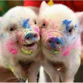 Theresa Hines Photo 7