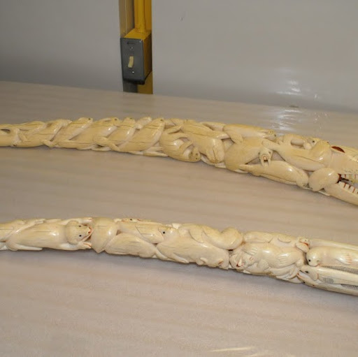 Howard Amos Photo 33