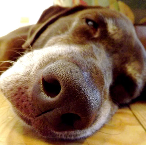 Sean Tuttle Photo 34