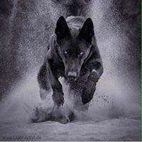 Kelly Hammonds Photo 12