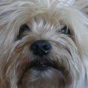 Michael Hund Photo 13