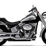 Michael Shackelford Photo 33