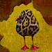 Lawrence Bird Photo 17