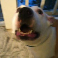 Sharon Maynard Photo 9