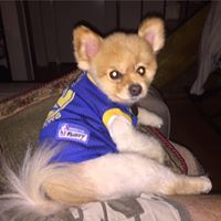 Lisa Bowers Photo 36