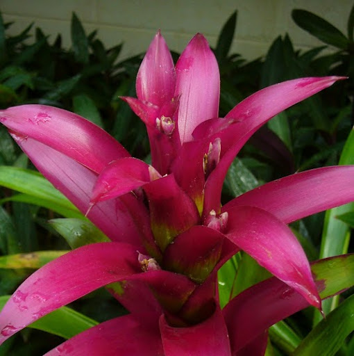 Melissa Underhill Photo 27