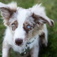 Hazel Taylor Photo 12