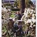 Denis Peck Photo 3