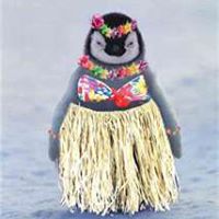 Chris Cardone Photo 16