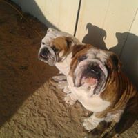 Debra Herbert Photo 24