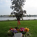 Colleen Collins Photo 31